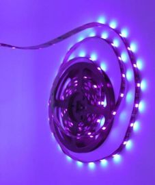 가동 가능한 살균 점화 LED 지구 빛 장비 SMD 5050 자주색 24 W 접합기